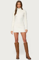 Edikted Turtle Neck Ribbed Knit Mini Dress