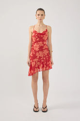 Perfect Stranger Zinna Mini Dress Red Print