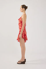 Perfect Stranger Zinna Mini Dress Red Print